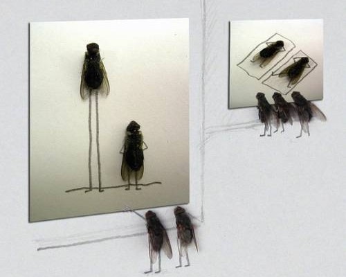 Two Flies On The Wall